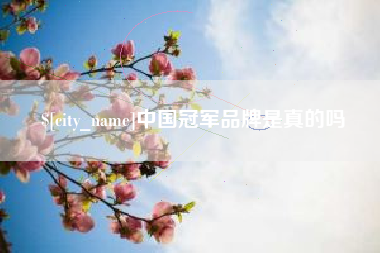 桐城中国冠军品牌是真的吗