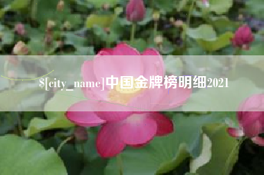桐城中国金牌榜明细2021
