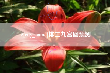 桐城排三九宫图预测