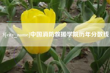 桐城中国消防救援学院历年分数线