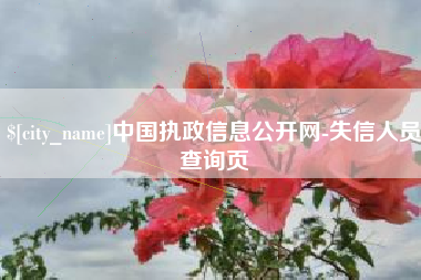 桐城中国执政信息公开网-失信人员查询页