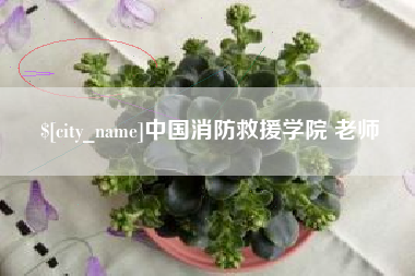 桐城中国消防救援学院 老师