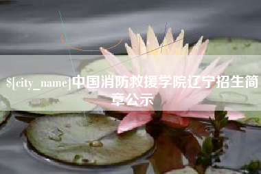 桐城中国消防救援学院辽宁招生简章公示