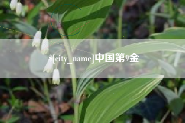 桐城中国第9金
