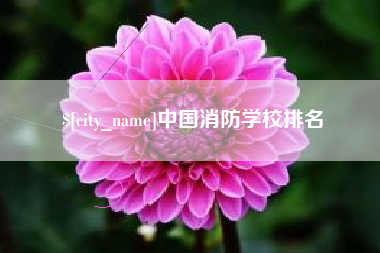 桐城中国消防学校排名