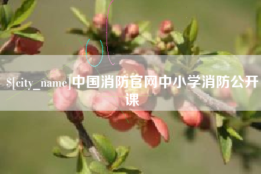 桐城中国消防官网中小学消防公开课