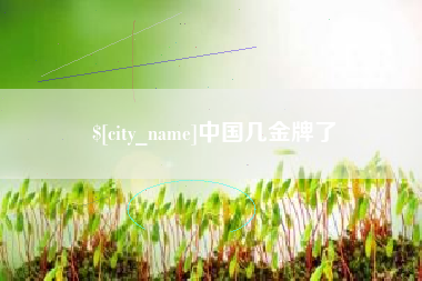桐城中国几金牌了