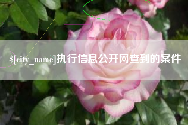 桐城执行信息公开网查到的案件