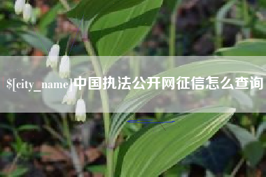 桐城中国执法公开网征信怎么查询
