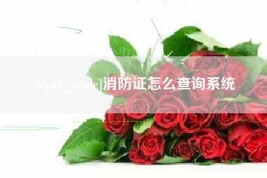 桐城消防证怎么查询系统