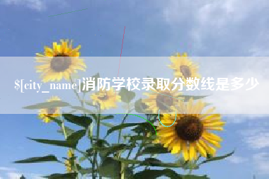 桐城消防学校录取分数线是多少