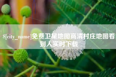 桐城免费卫星地图高清村庄地图看到人实时下载