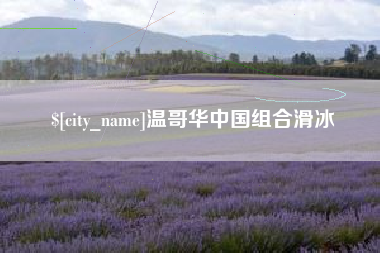 桐城温哥华中国组合滑冰
