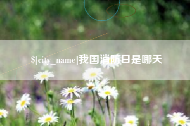 桐城我国消防日是哪天