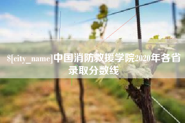 桐城中国消防救援学院2020年各省录取分数线