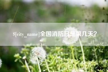 桐城全国消防日是第几天？
