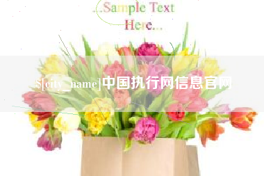 桐城中国执行网信息官网