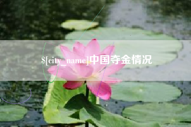 桐城中国夺金情况
