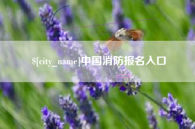 桐城中国消防报名入口