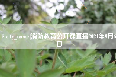 桐城消防教育公开课直播2024年9月6日