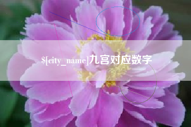 桐城九宫对应数字