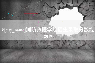 桐城消防救援学院招生录取分数线2019