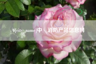 桐城中囯消防产品信息网