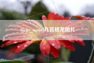 桐城九宫格龙图片