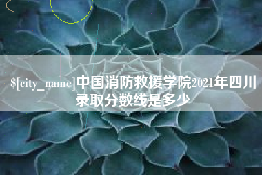 桐城中国消防救援学院2021年四川录取分数线是多少