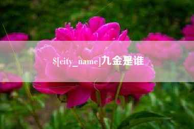 桐城九金是谁
