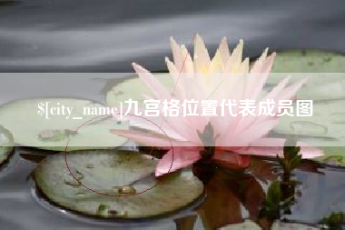 桐城九宫格位置代表成员图