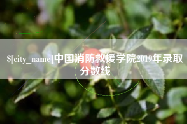 桐城中国消防救援学院2019年录取分数线