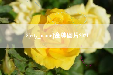 桐城金牌图片2021