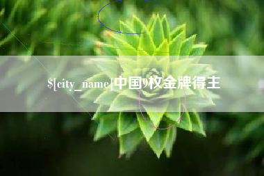 桐城中国9枚金牌得主