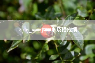 桐城5000米及格成绩
