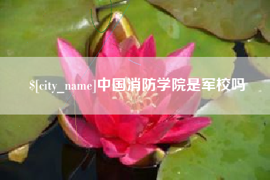桐城中国消防学院是军校吗