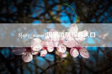 桐城国家消防报名入口