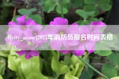 桐城2025年消防员报名时间表格