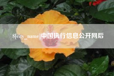 桐城中国执行信息公开网后