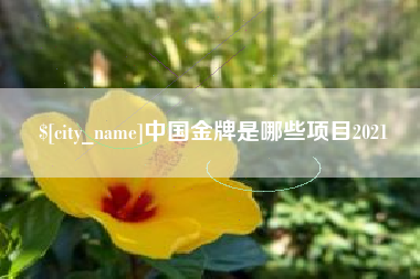 桐城中国金牌是哪些项目2021