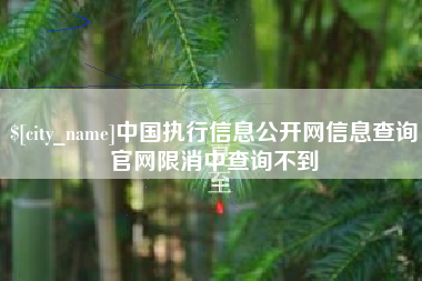 桐城中国执行信息公开网信息查询官网限消中查询不到