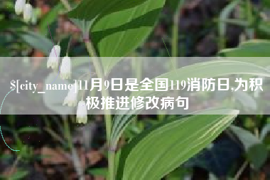 桐城11月9日是全国119消防日,为积极推进修改病句