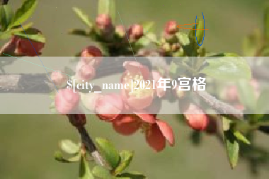 桐城2021年9宫格