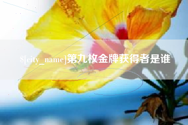 桐城第九枚金牌获得者是谁