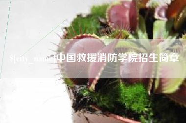 桐城中国救援消防学院招生简章