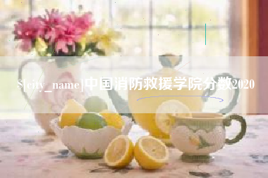 桐城中国消防救援学院分数2020