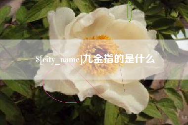 桐城九金指的是什么