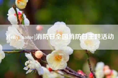 桐城消防日全国消防日主题活动