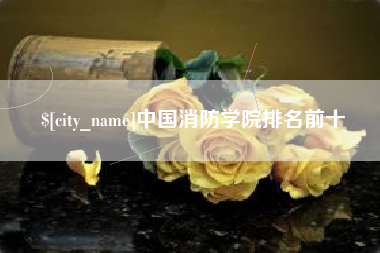 桐城中国消防学院排名前十