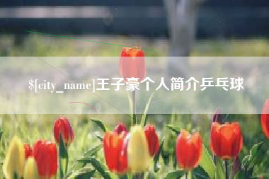 桐城王子豪个人简介乒乓球